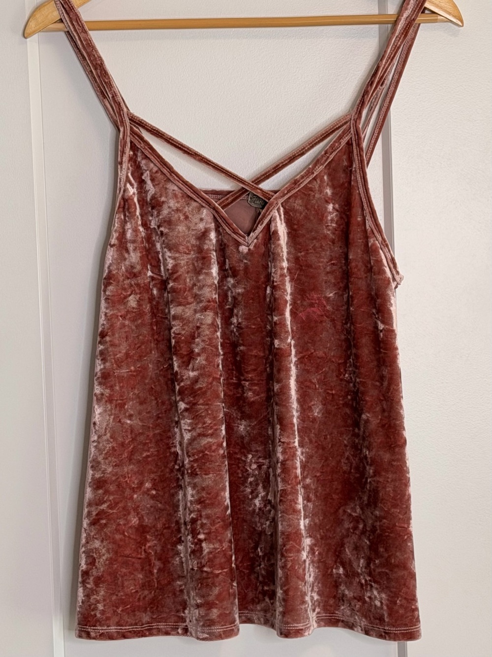 🩷2 for 40- Harlow Velvet Tank in Dusty Mauve